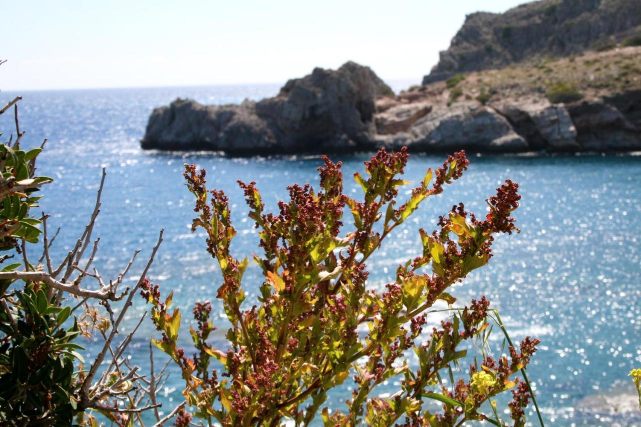 Agios Pavlos Hotel Екстериор снимка